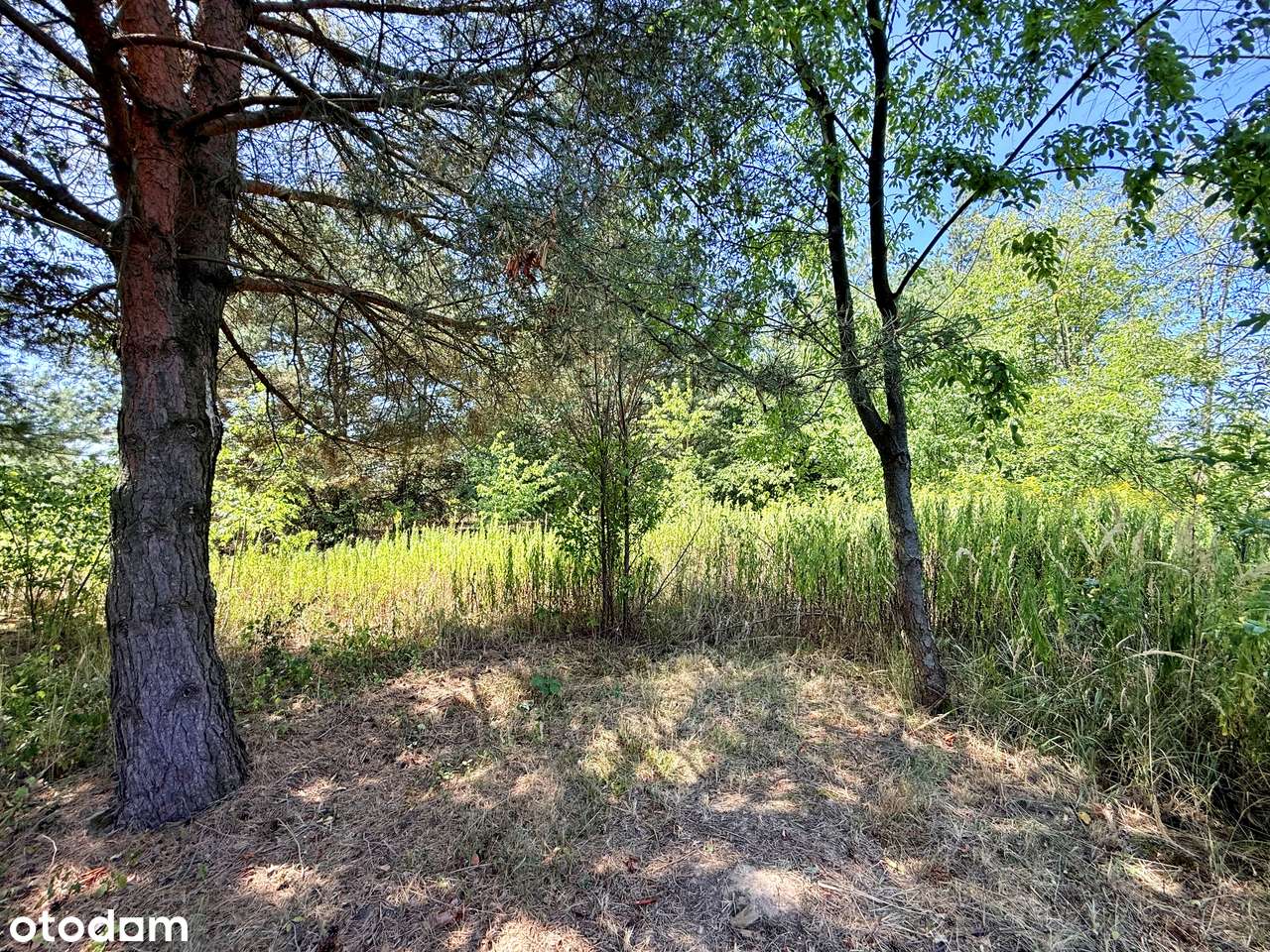 Działka budowlana w znakomitej lokalizacji, z szybkim dojazdem do W-wy-3