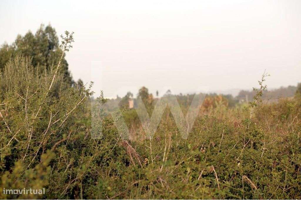 Terreno para investimento localizado em zona deslumbrante em Cabriz Si - Grande imagem: 4/22