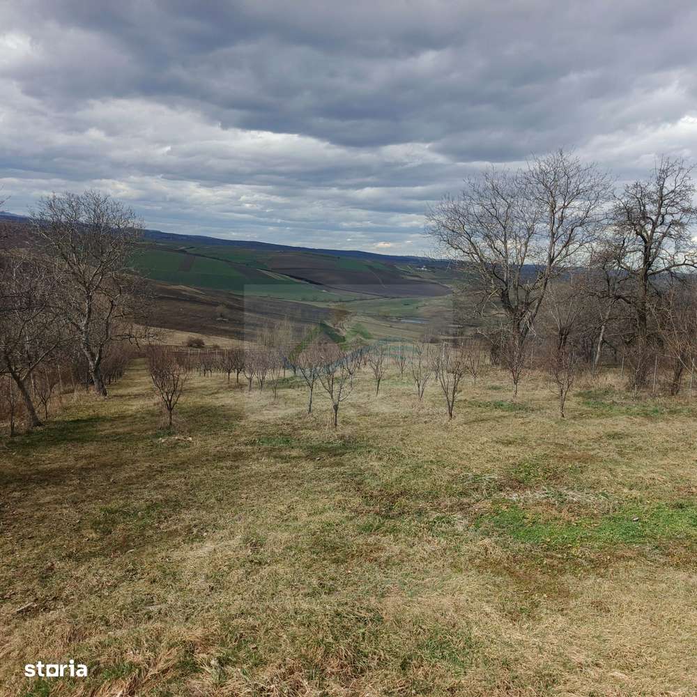 Teren intravilan de vânzare Horodniceni Suceava - Imagine principală: 4/7