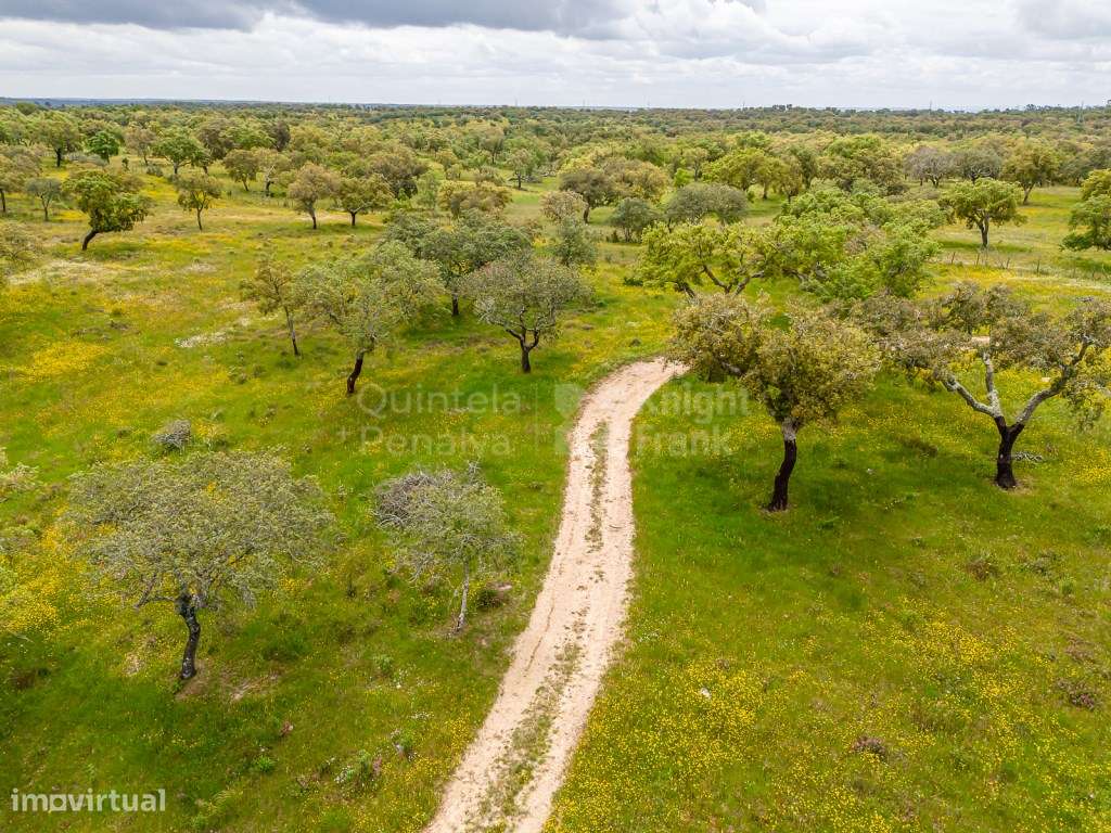 Herdade com 69,625 ha para venda em Alcácer do Sal - Grande imagem: 4/26