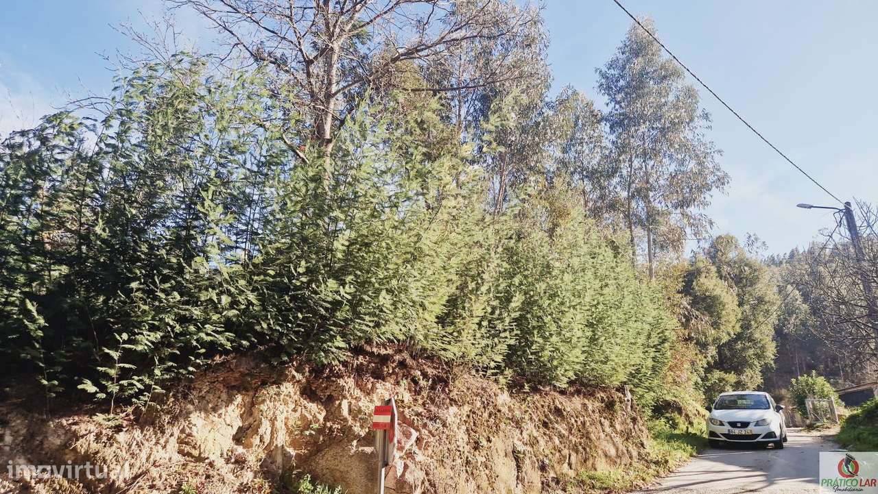 Terreno com viabilidade de construção em Cedrim - Grande imagem: 5/10