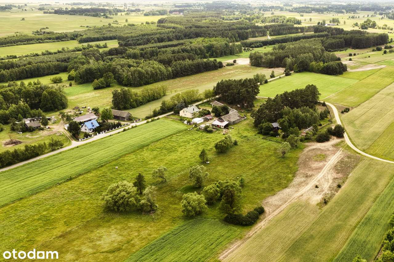 Marianowo g. Długosiodło I 3 działki I warunki zabudowy I pow. 2,06 ha-1