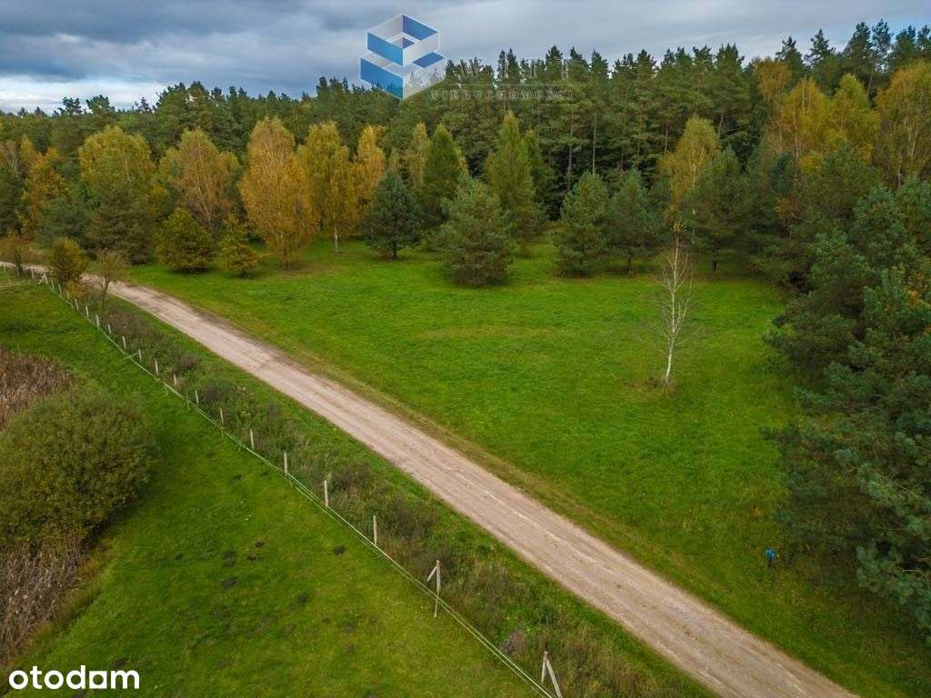 Kraniec nowego osiedla, graniczy z dorodnym lasem - Pełny obrazek: 5/18