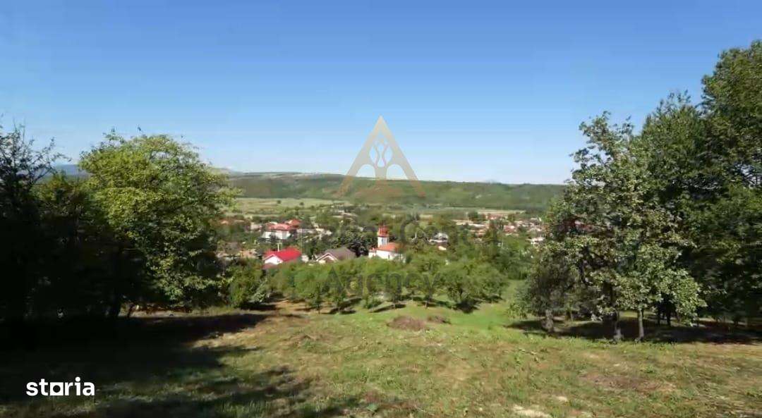 Teren intravilan + extravilan 10.537 mp – casa, livada sau ferma de fa-6