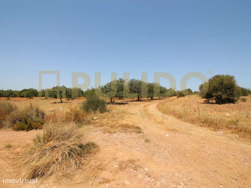 Quinta em Castro Marim a 5km da praia-19