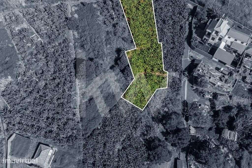 Terreno Urbanizável - 850m2 - São Martinho | Funchal - Grande imagem: 4/24