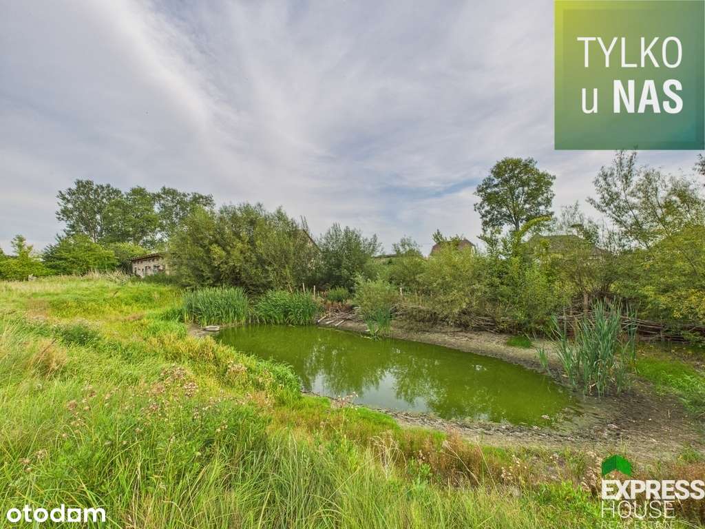 Na sprzedaż siedlisko w Hryniewiczach Dużych - Pełny obrazek: 3/20