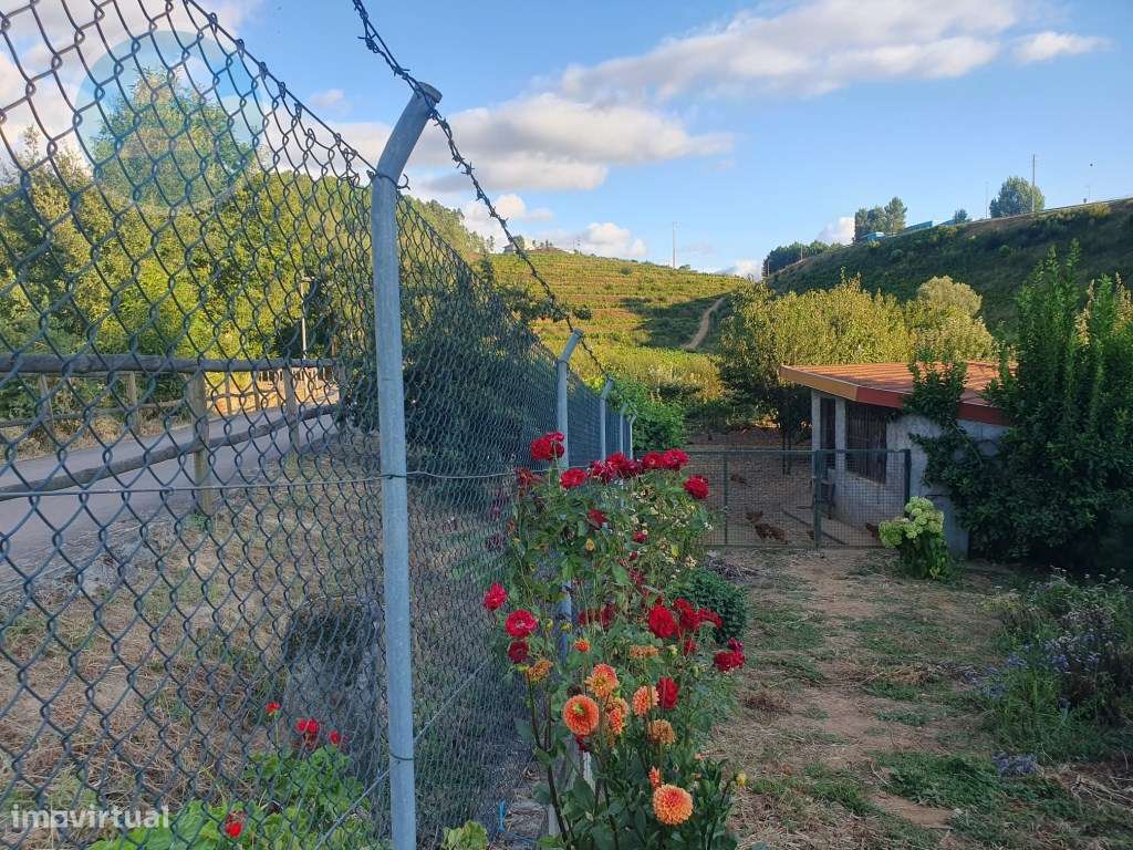 Quintinha à venda- Arco de Baúlhe-23