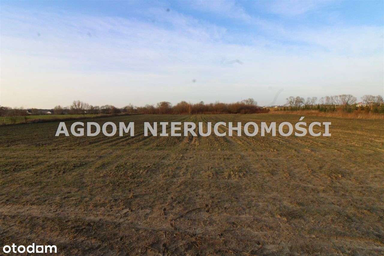 Dzialka - Chełmica Duża - Pełny obrazek: 4/5