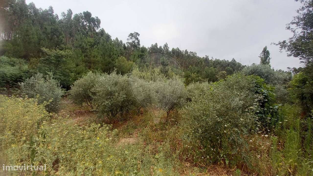 Terreno  para venda - Grande imagem: 4/5