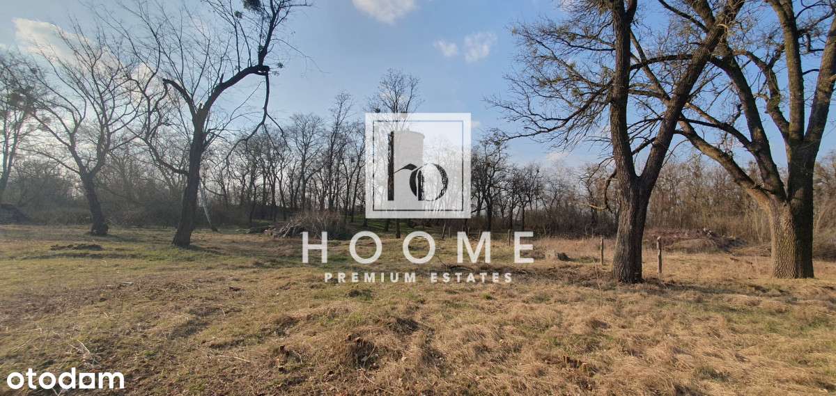 Unikat!! Toruń Dla Dewelopera, Lokalizacja!!-2