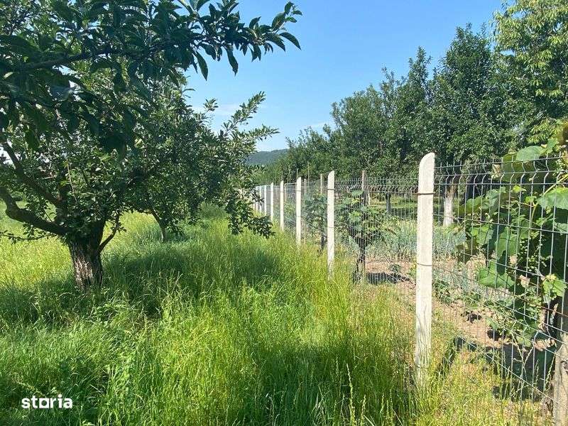 Vanzare teren Albestii Pamanteni 2640 mp - Imagine principală: 4/4