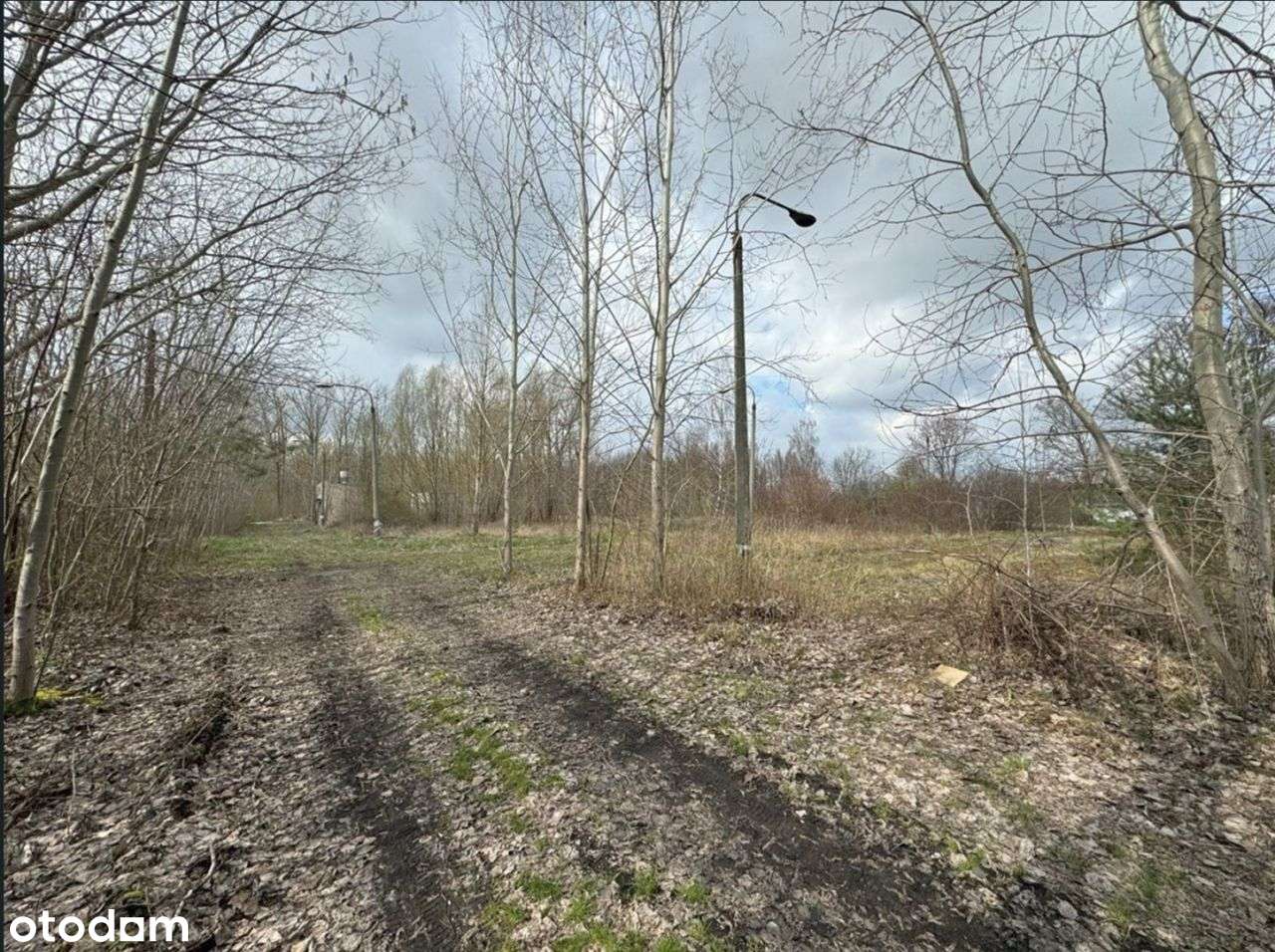 Działki 20000m2, Leźnica Wielka - Pełny obrazek: 2/3