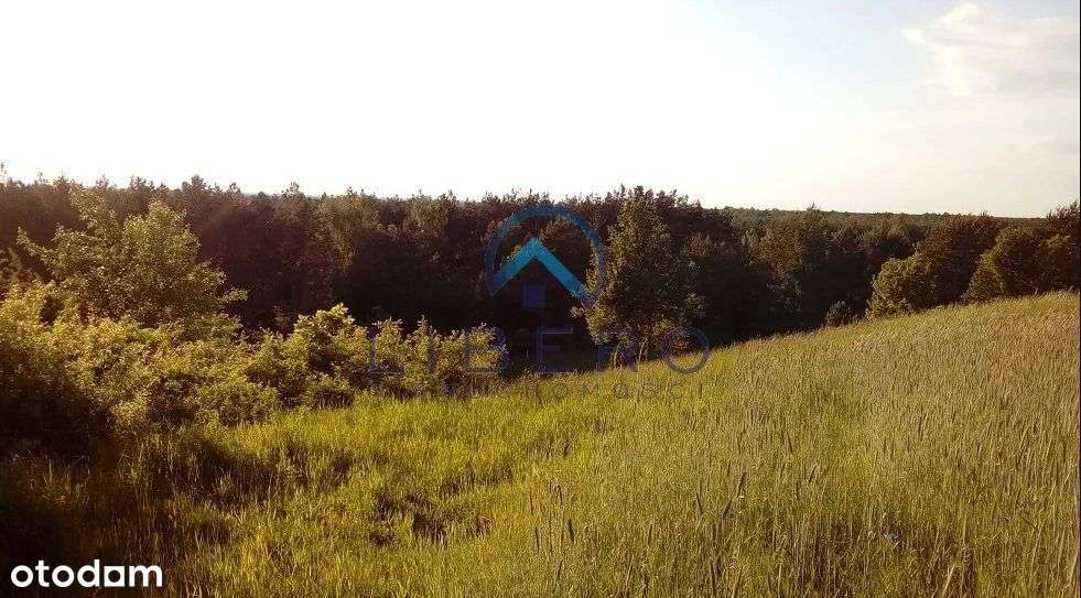 Działka Huta Podgórna, okolice Serocka - Pełny obrazek: 5/8