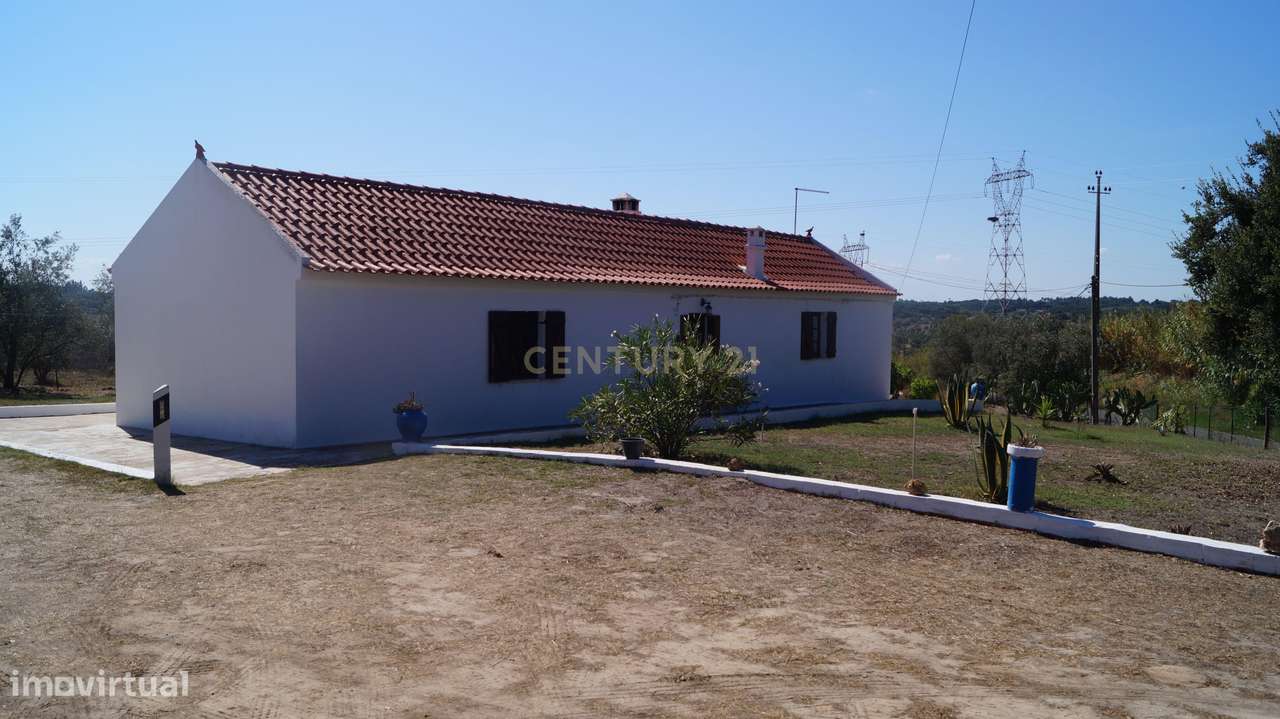 Monte/Terreno-Santiago Cacém, c/Vista Camp0 e Árvores Frutíferas - Grande imagem: 3/36