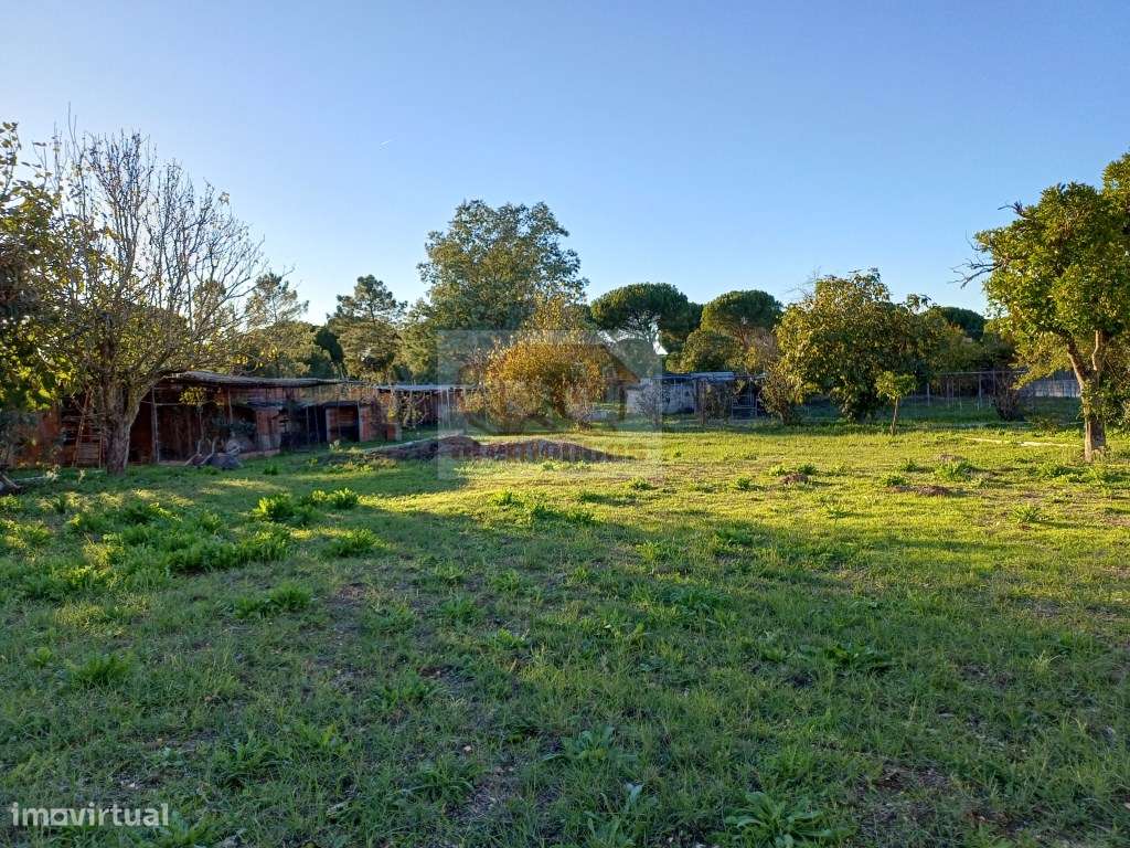 Excelente oportunidade - Quinta com 3 habitações em Grândola-24