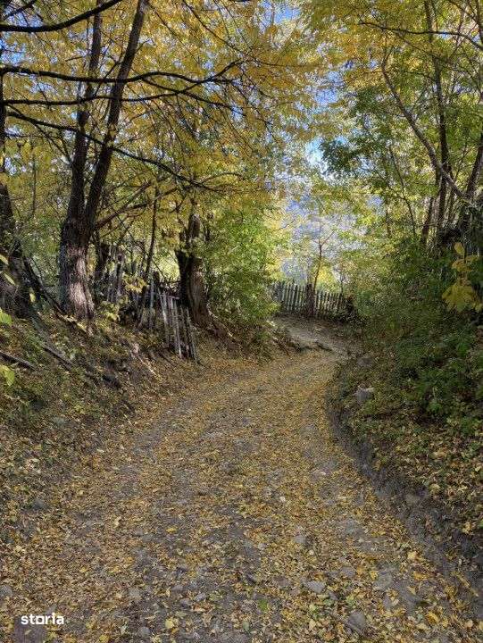 Teren retras panoramic Valea Doftanei 1350 mp panta lina, cu utilitati-10