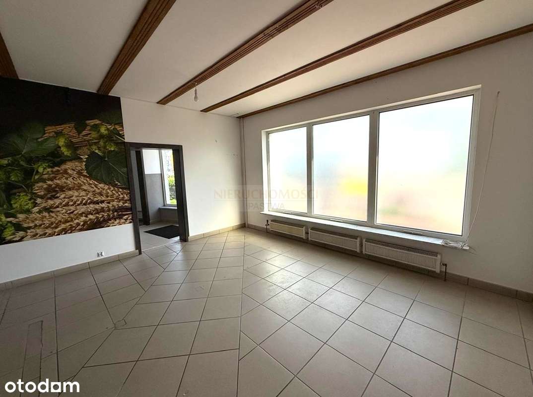 Dom w centrum miasta + lokal użytkowy + apartament!-9