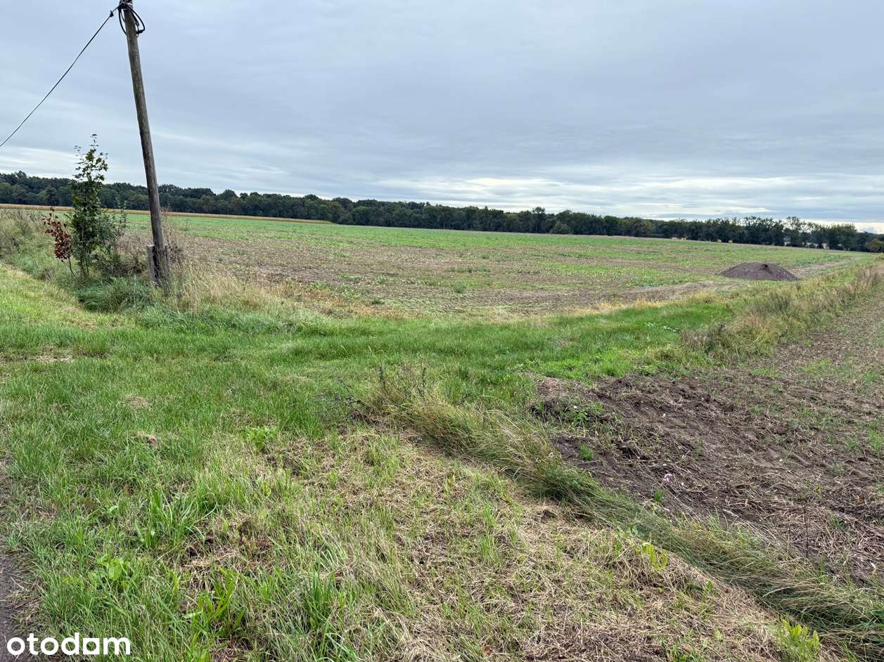 Działka w Wielkich Łąkach-5