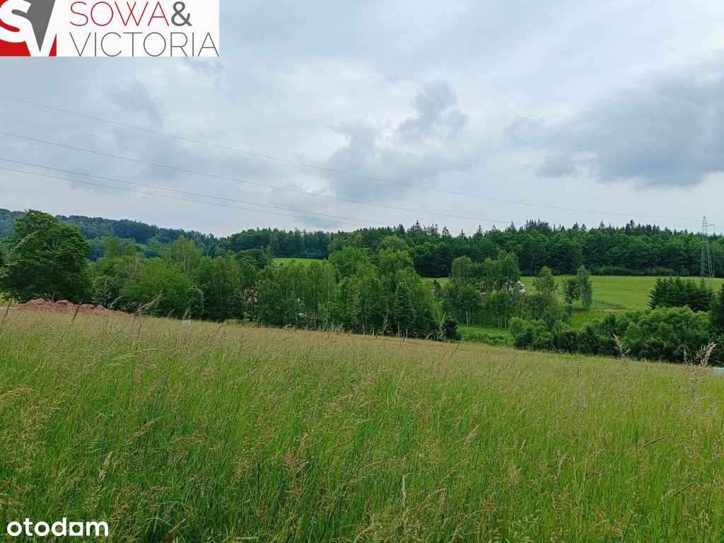 Widokowa działka;prąd, droga i dogodna komunikacja - Pełny obrazek: 2/15