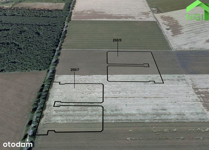 Działki rolne | Łękno | 4,2000 ha
