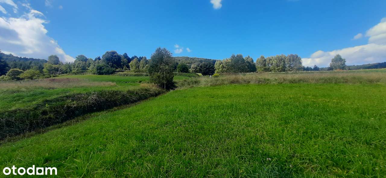 Słoneczna działka przy lesie, budowlana, 8 ar-9