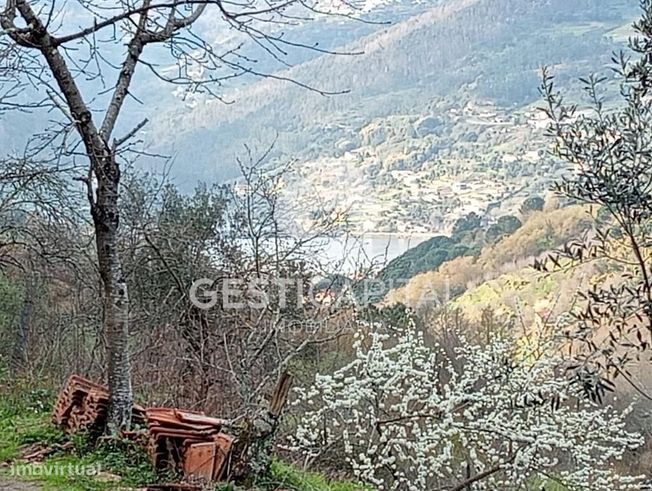 Oportunidade Única: Quinta para Habitação, Turismo ou Agricultura em M-1