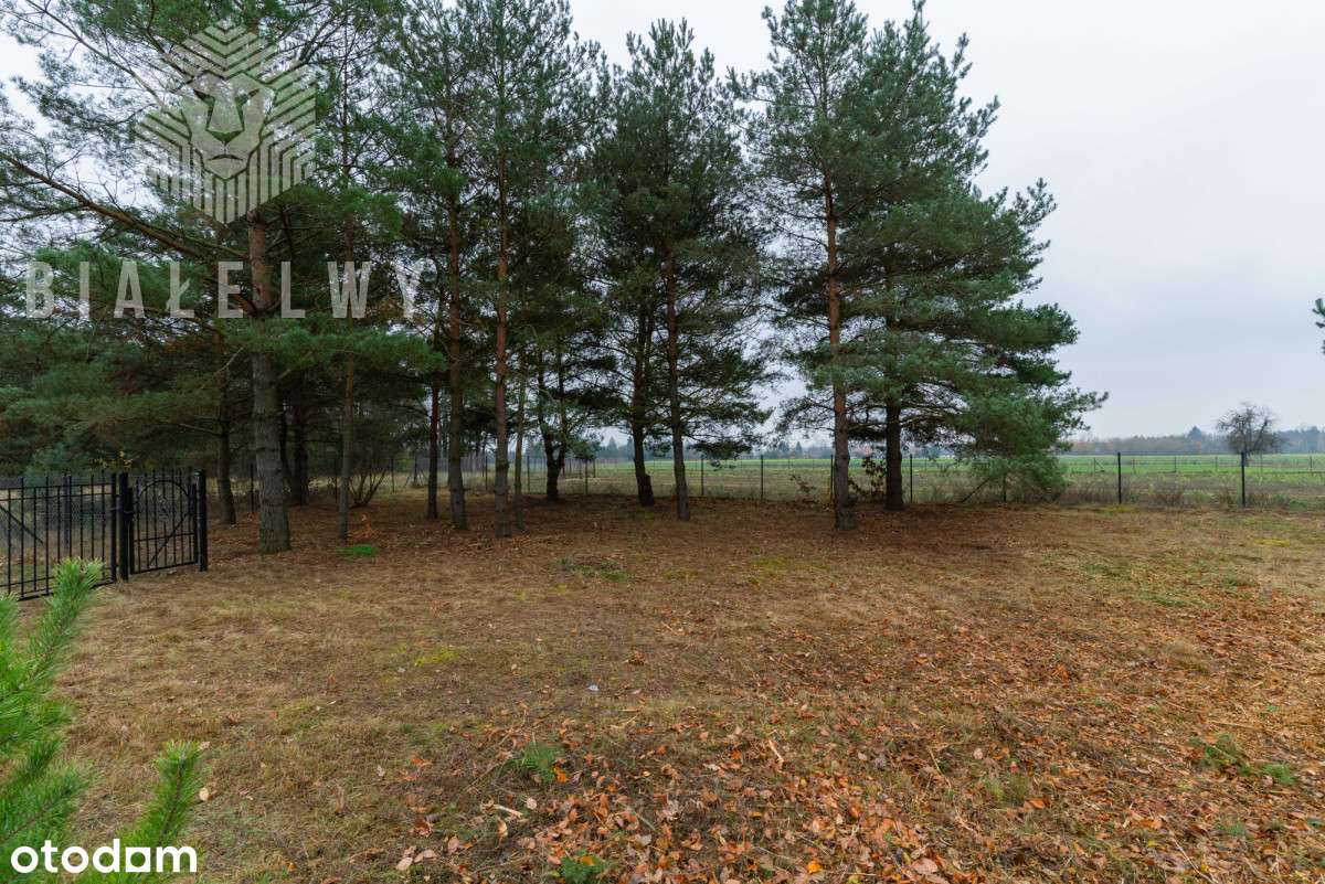 Jachranka - działka pod dom jednorodzinny - Pełny obrazek: 3/19