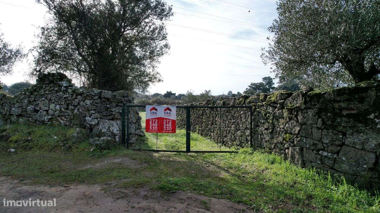 Quintinha - Grande imagem: 3/60