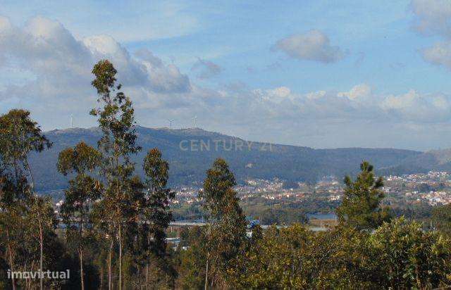 Terreno  com possibilidade de 20 lotes para construção! - Grande imagem: 2/7