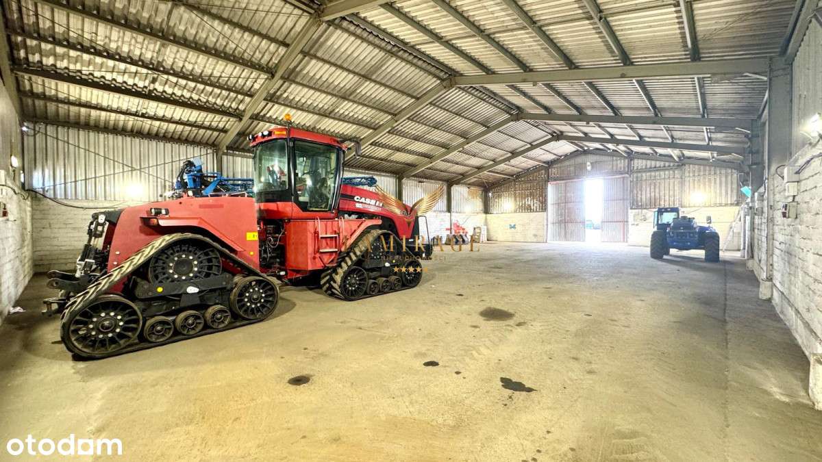 Magazyn od zaraz - Pełny obrazek: 3/6