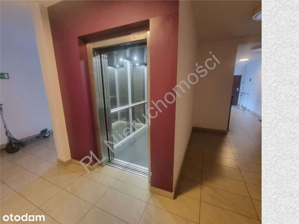 Ogródek, 55 m2, 2 pokoje, Oligo Park - Pełny obrazek: 5/6