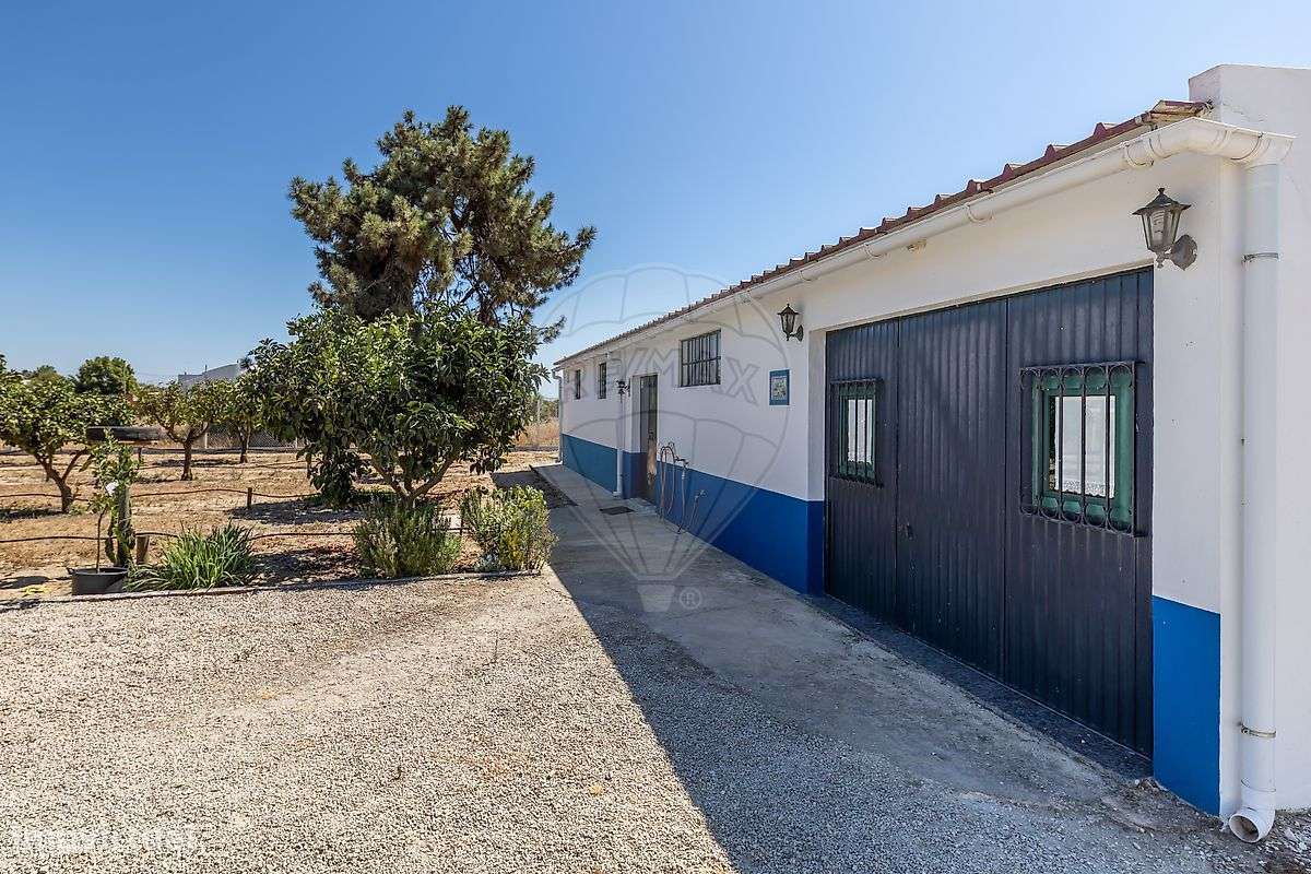 Quinta  para venda-13