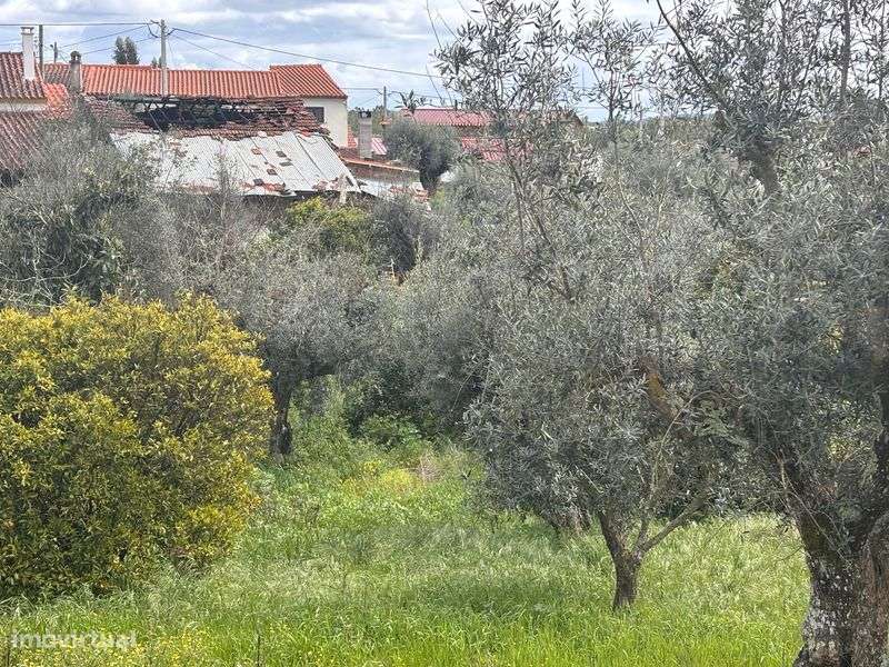 Casa para recuperar com furo - Grande imagem: 4/10