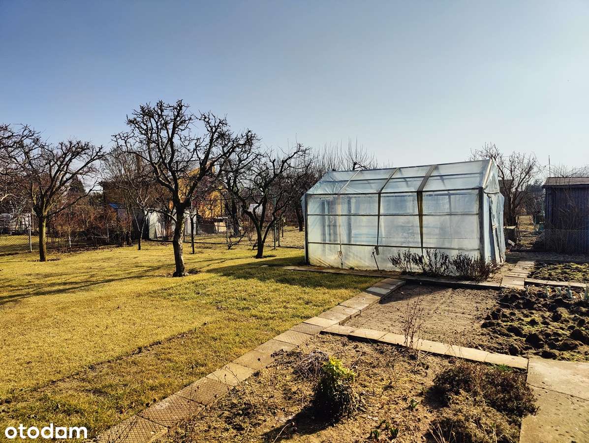 Sprzedam działkę z altaną na ROD Wyspiańskiego w Koninie-6