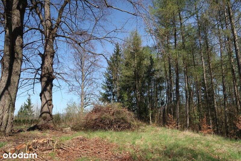 Janowice Wlk. Mały dom 3 pok. 65 m2-8