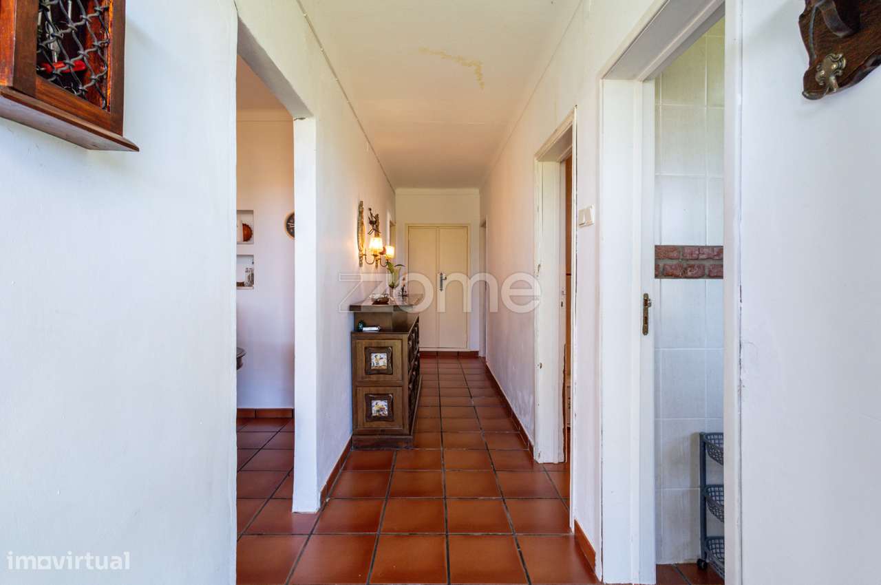 Monte Alentejano em Brinches (Serpa)-3