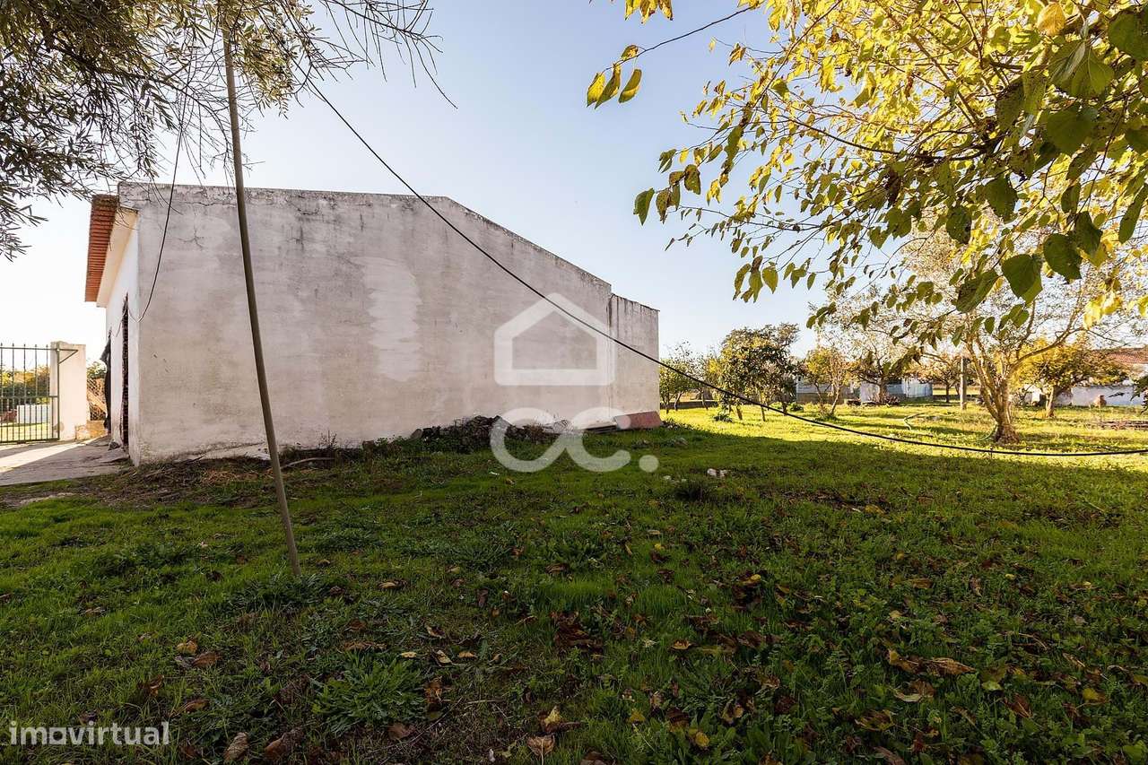 Terreno de  1.350 m² c/ Anexo de Apoio Agrícola | Canaviais, Évora - Grande imagem: 4/46