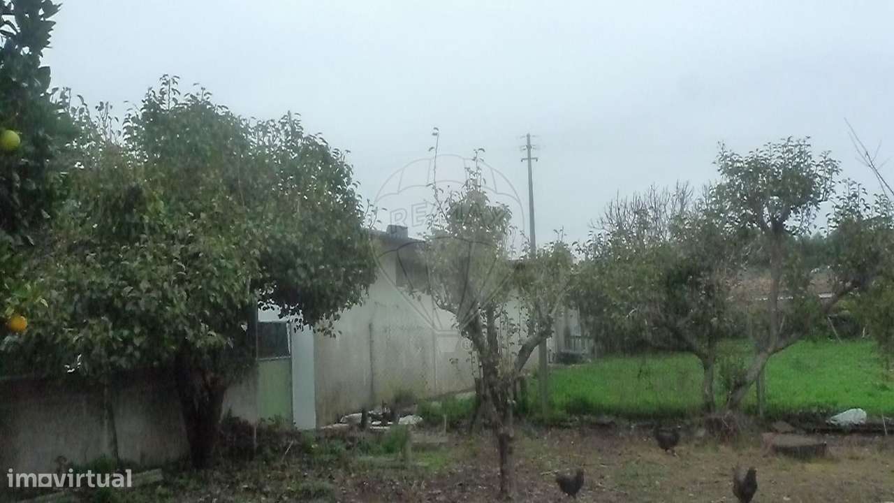 Armazém  para venda-4