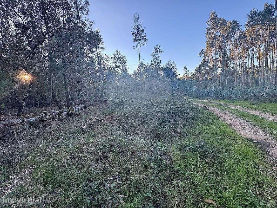 Terreno  para venda - Grande imagem: 4/19