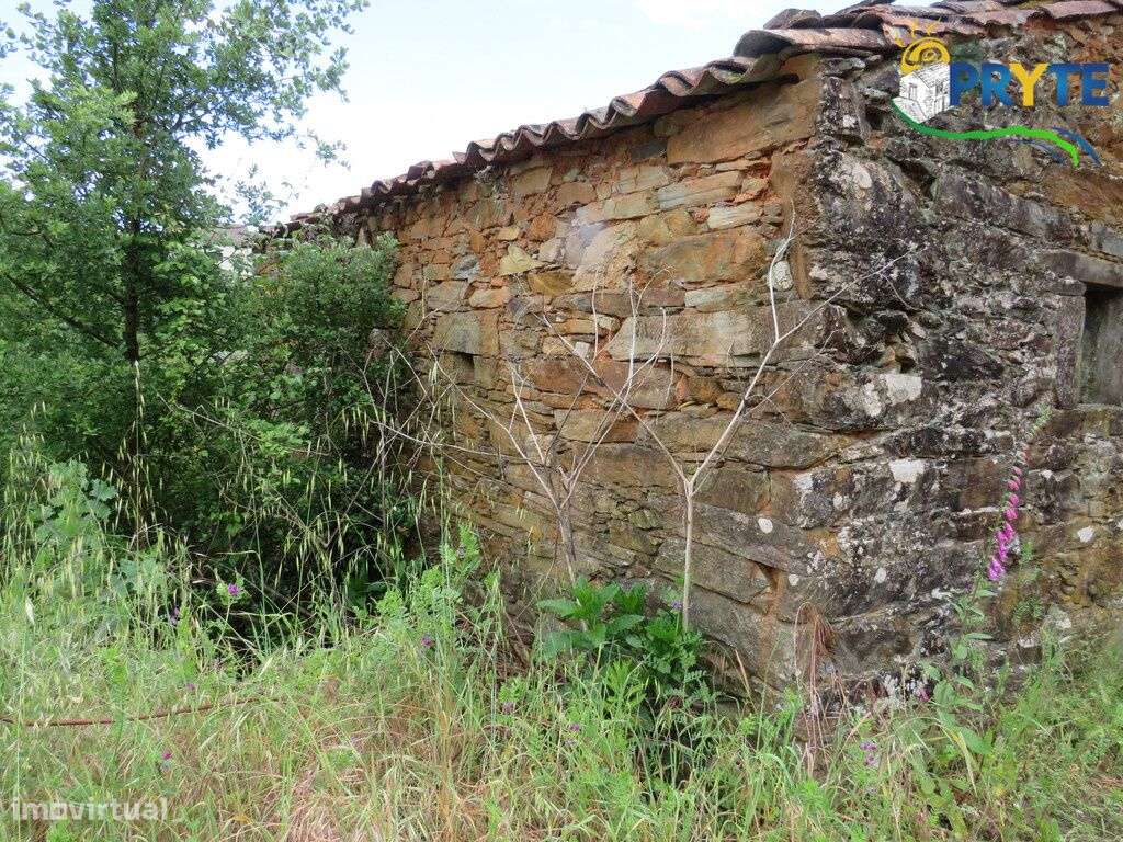Pequena quinta a confinar com a Ribeira situada perto de Oleiros-26