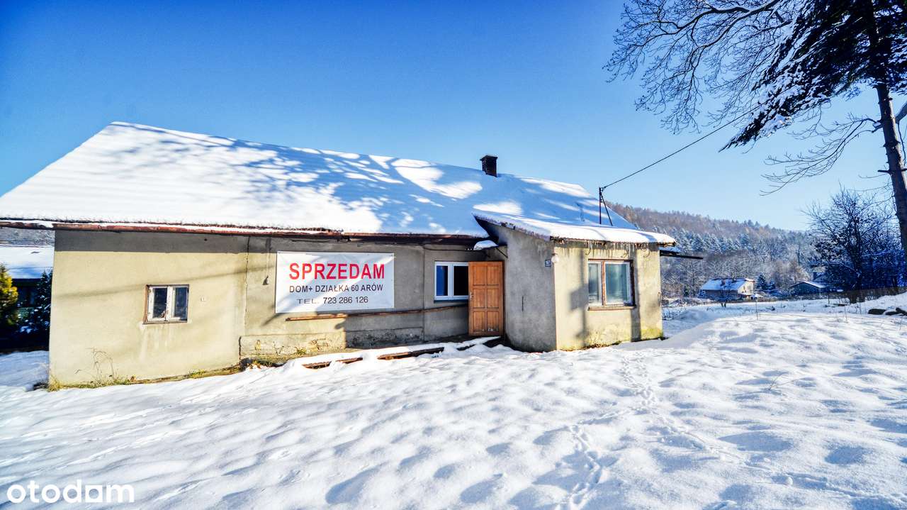 Stary dom, siedlisko wśród gór z działkami aż 60 arów.-9