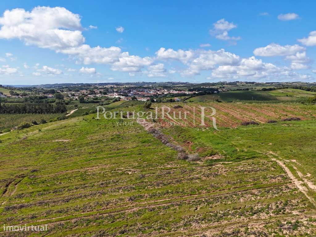Exploração Agrícola com 37 ha e produção de Pera Rocha no Cadaval-27