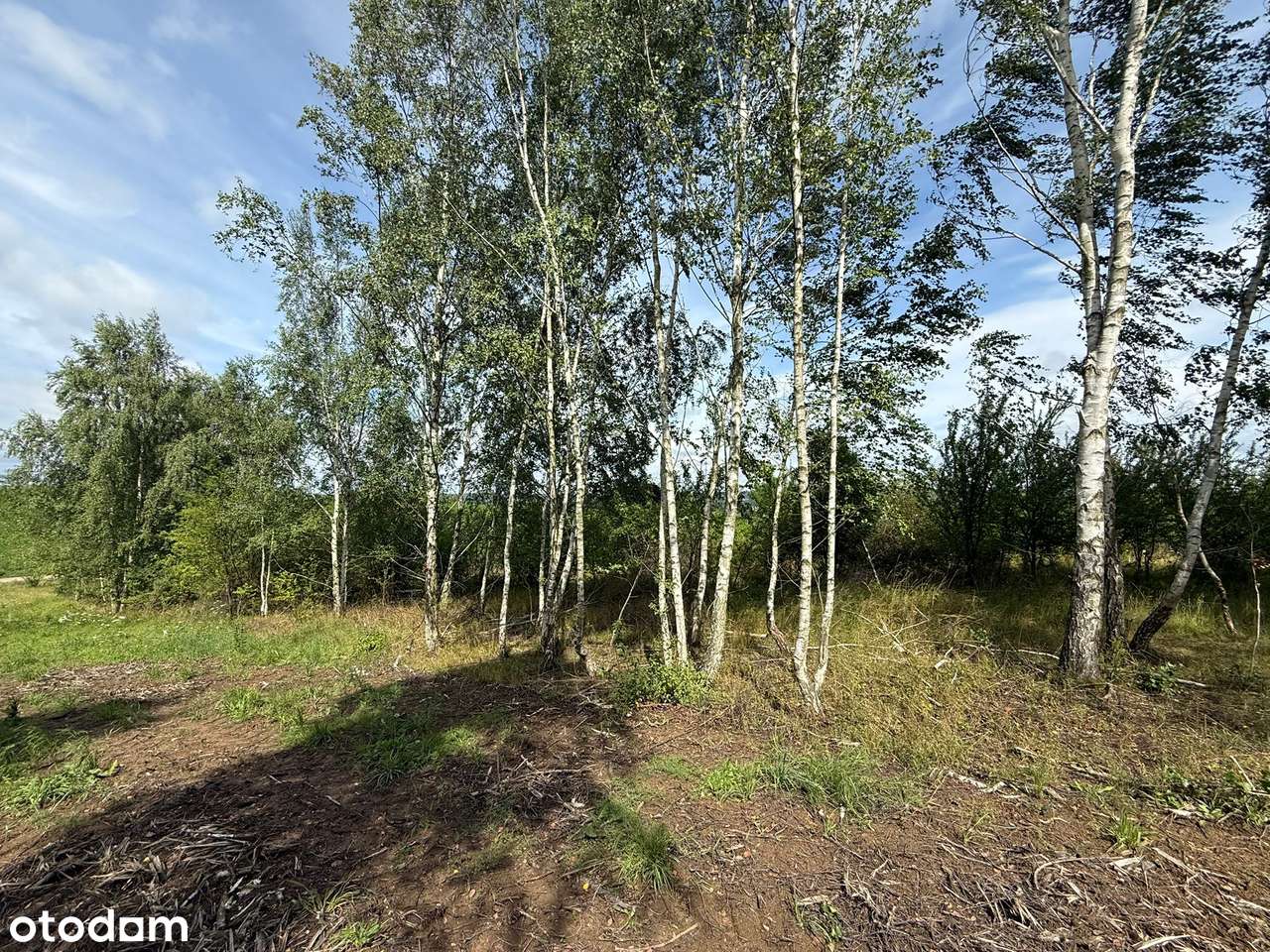 Działki Budowlane Bielkówko - Pełny obrazek: 4/5