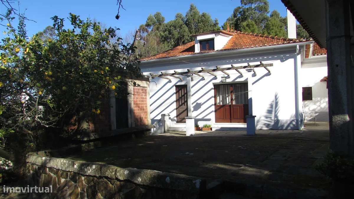 QUINTA EM SEIXAS COM 40.000 M2 - Grande imagem: 4/19