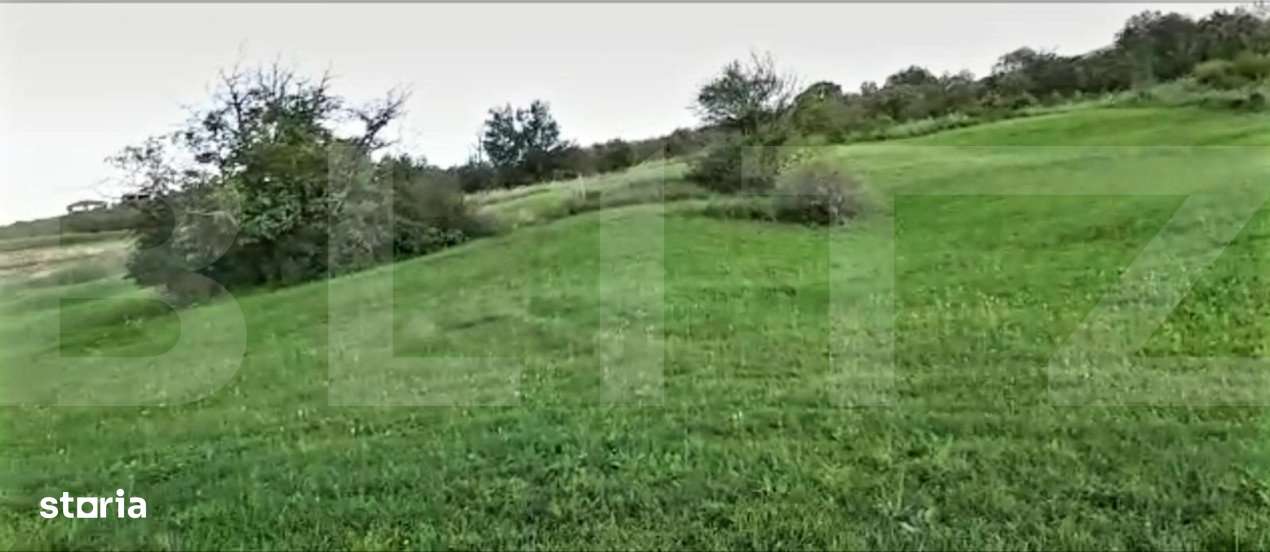 Teren intravilan ,4039 mp,in cartierul Borhanci - Imagine principală: 4/5