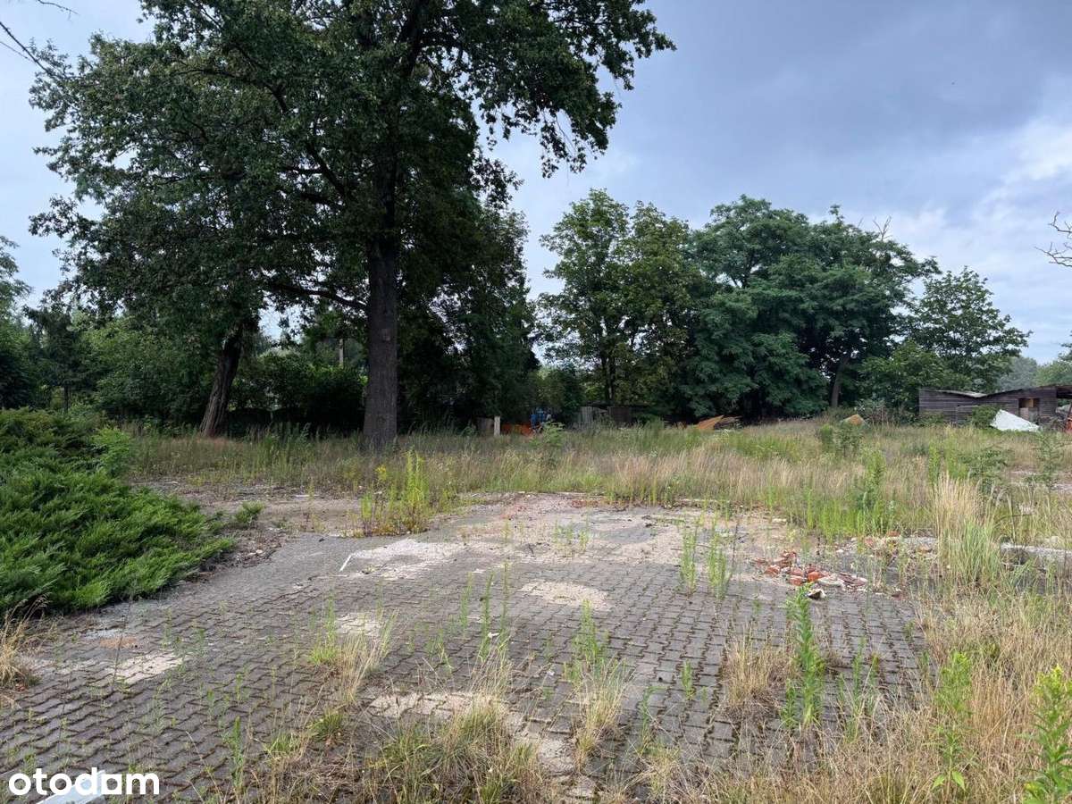 SPRZEDAM DZIAŁKĘ 0,3137 HA Wrocław Lipa Piotrowska - Pełny obrazek: 2/3