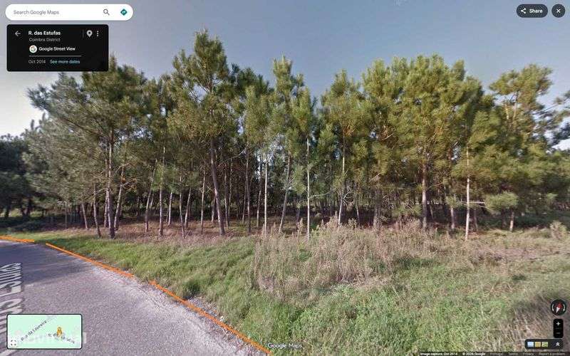 Terreno no Bebedouro 5000 m² - Vista 5