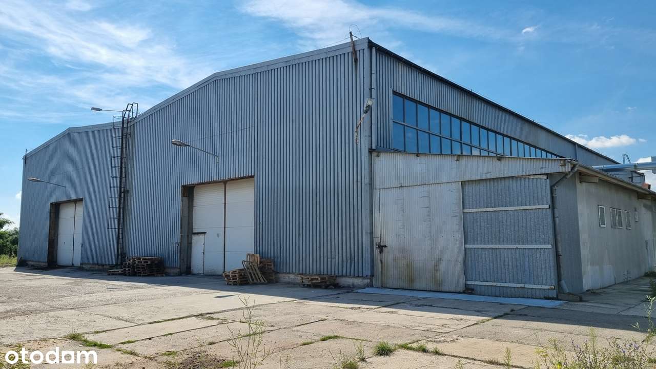 Nieruchomosć przemysłowa Ostrowiec Św. Boernera 11 - Pełny obrazek: 4/9