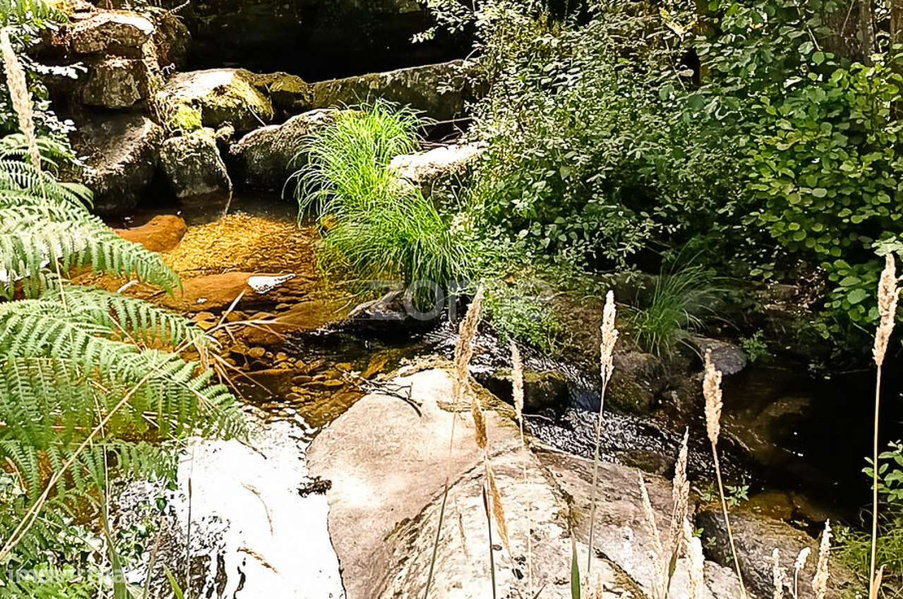 Quinta do Mosteiro de Salzedas com mais 17 ha e património histórico-52